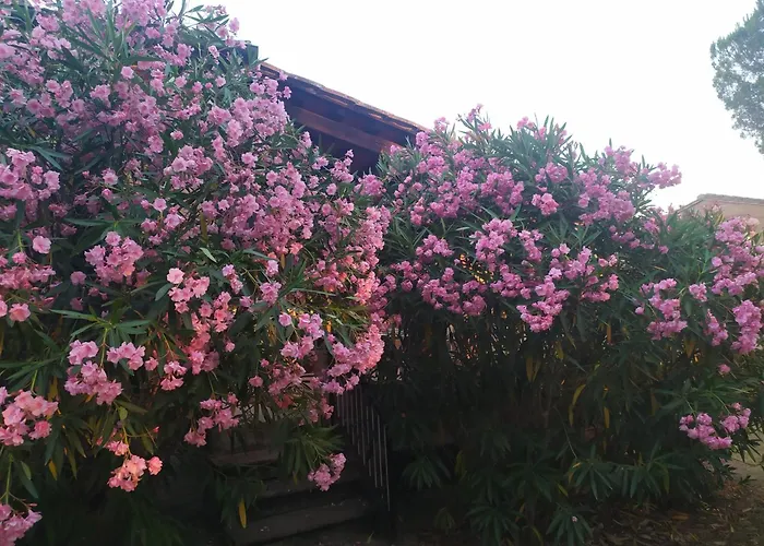 Da TILLI alla Fornace - Agriturismo Montaione